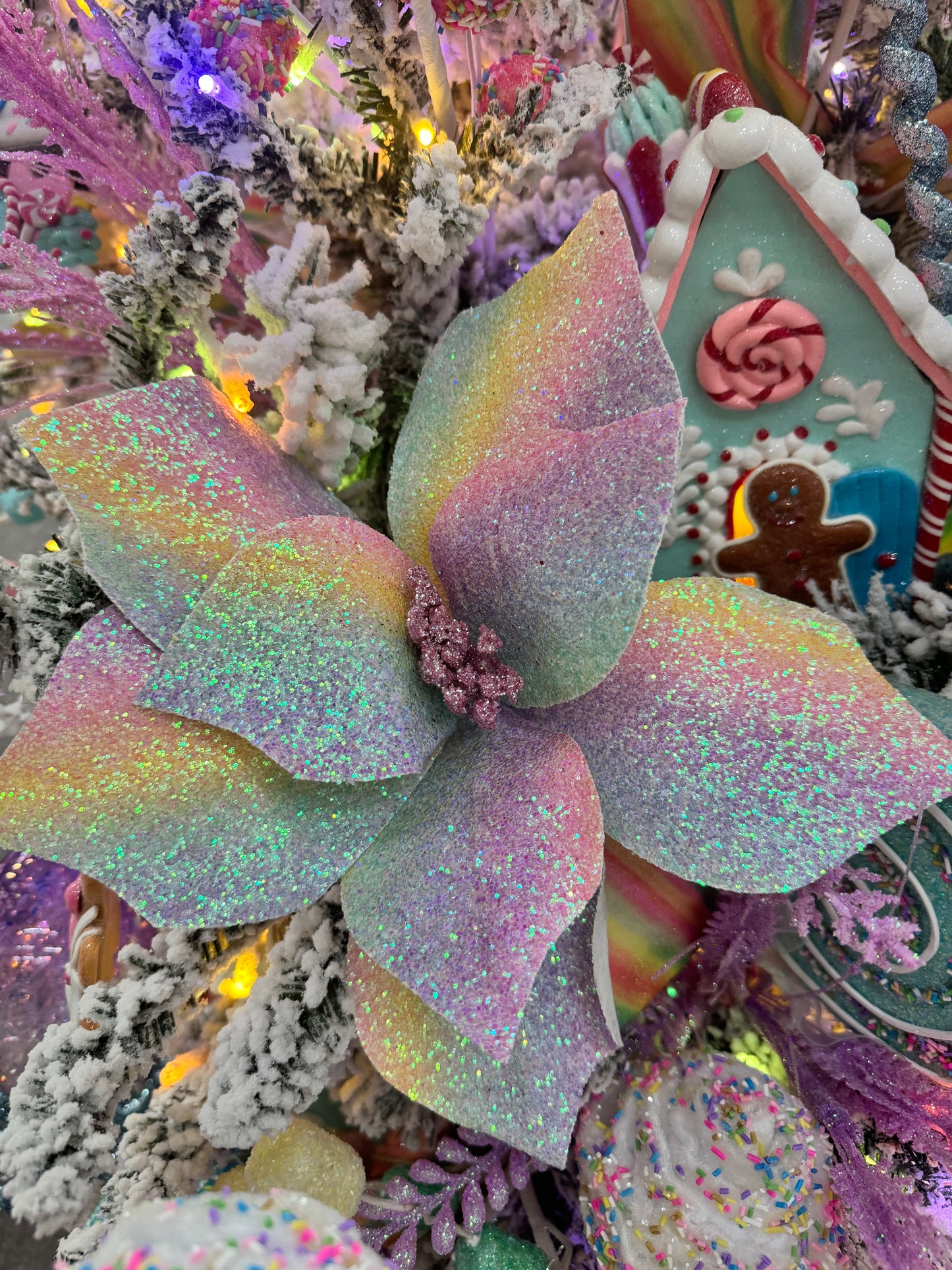 Shimmering Candy Poinsettia 16" x 12"D in Multi | QD