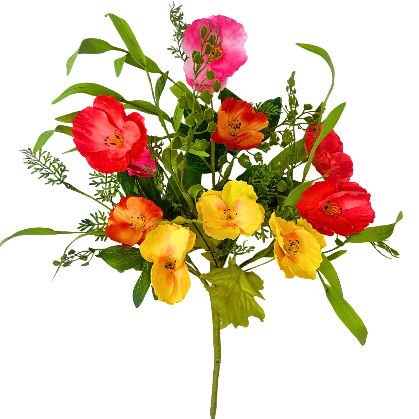 Vibrant Passion Poppy Bush 17‘’ | QPE