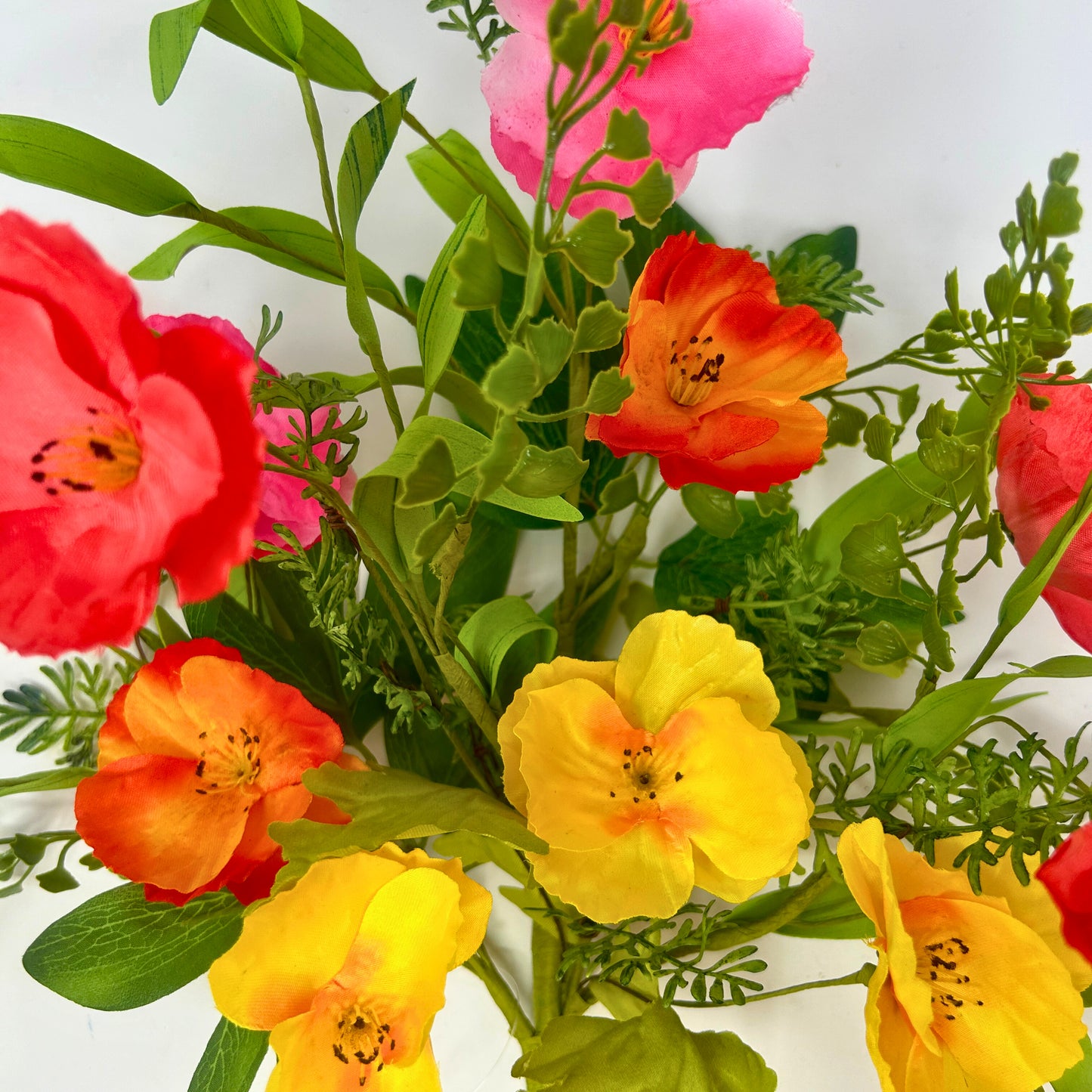 Vibrant Passion Poppy Bush 17‘’ | QPE