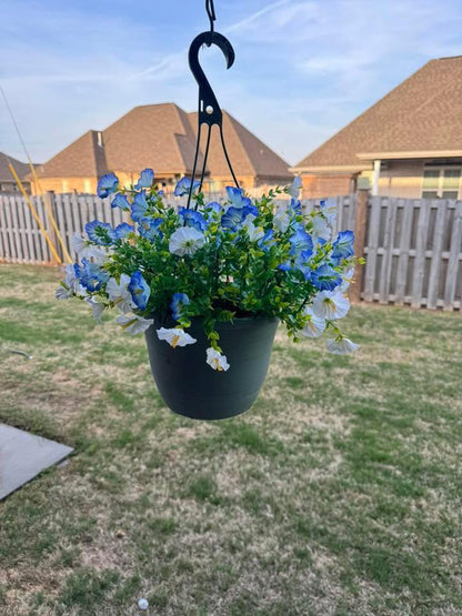 Mini Morning Glory Bunch 14" - Blue