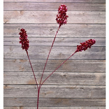 Load image into Gallery viewer, 30&quot; Beaded Fern Spray X 2 Beauty | Rt