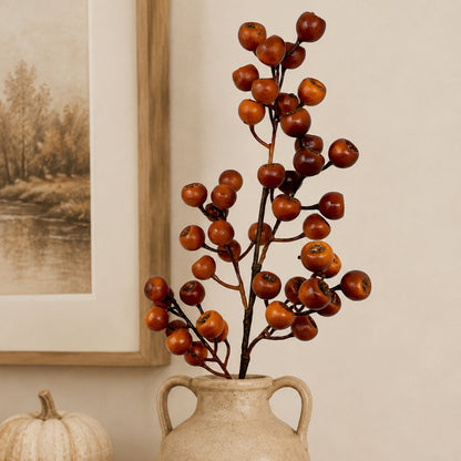 Grand Pod Berry Spray 24" - Orange | KS