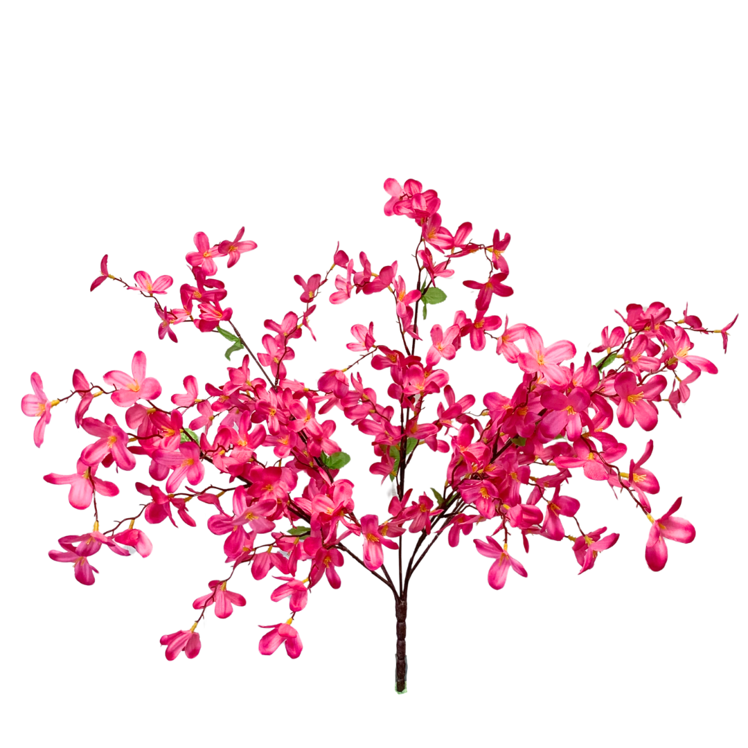 Tweedia Bush x 5 - 24” - Hot Pink |BYE