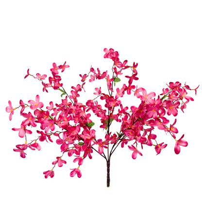 Tweedia Bush x 5 - 24” - Hot Pink |BYE