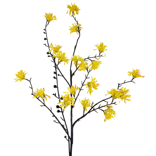 39.5" Witch Hazel Spray in Yellow | XJE