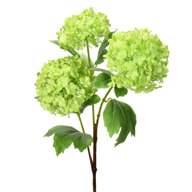 33" Viburnum Spray in Green | XJE