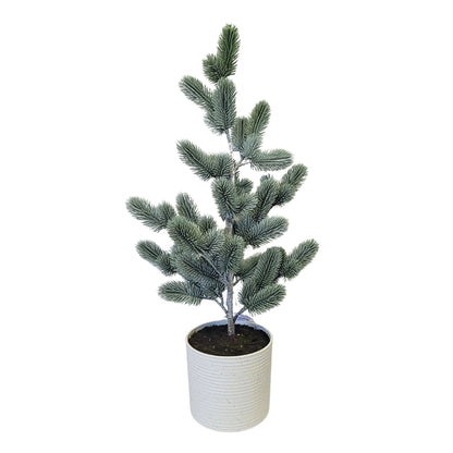 Real Touch Wild Spruce Potted Tree 26" | XJ
