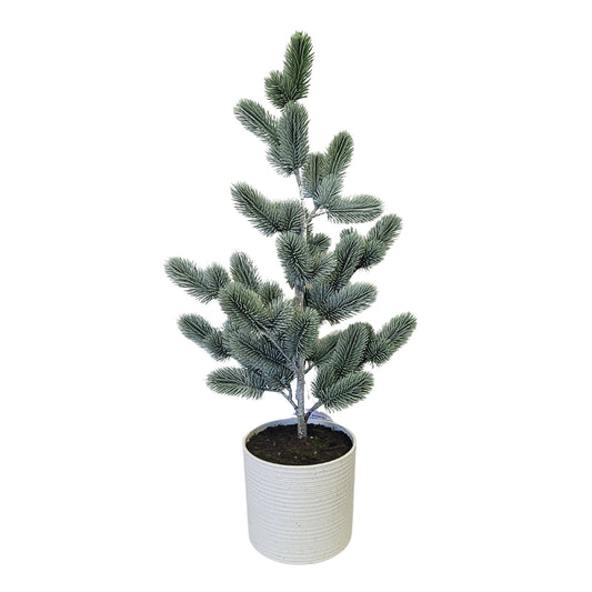Real Touch Wild Spruce Potted Tree 26" | XJ
