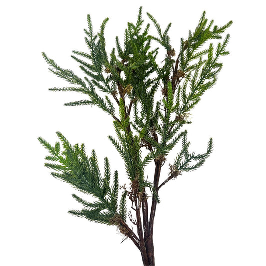 Isle Of Skye Norfolk Pine Branch 48" | XJ
