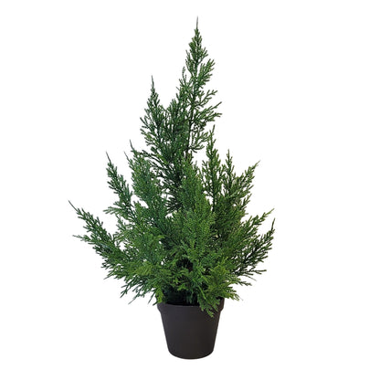 Fresh Touch Cedar Tree in Plastic Pot 21” | YS