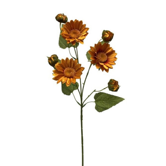 Wild Sunflower x 5 Burnt Orange 28" | YSE