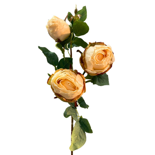Vintage Garden Rose Spray x 3 25" - Champagne | YS