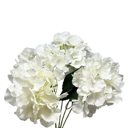 Cypress Garden Hydrangea Bush x 5 - 19” - Cream | YSE