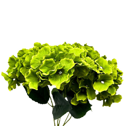 Cypress Garden Hydrangea Bush x 5 - 19” -Lime | YSE
