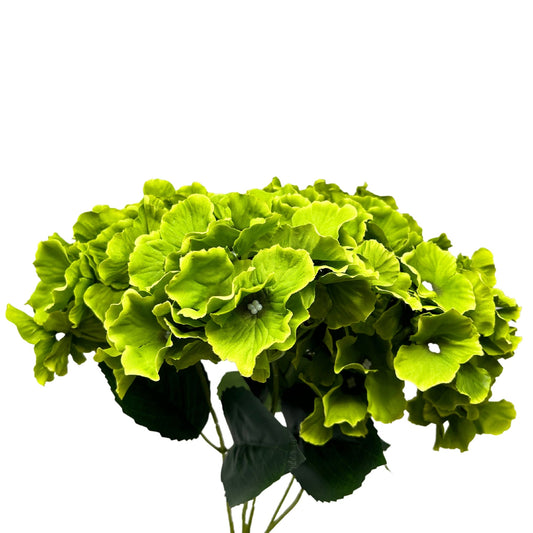 Cypress Garden Hydrangea Bush x 5 - 19” -Lime | YSE