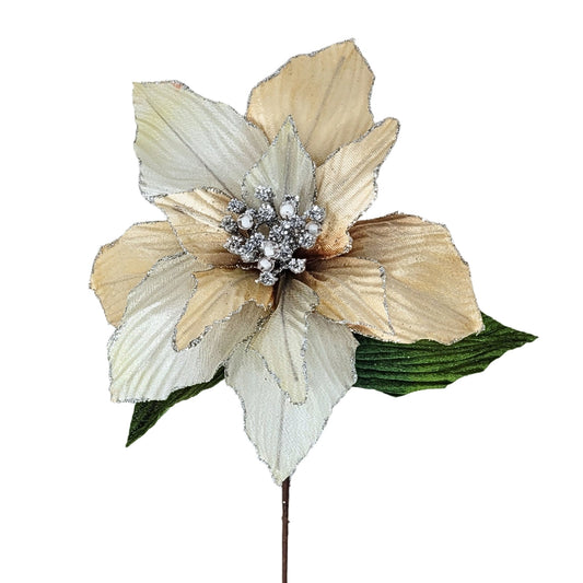Ombre Shimmer Poinsettia Stem - Ivory/Champagne 19" | YS