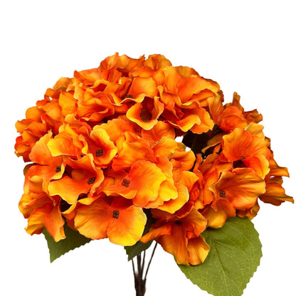 Autumn Meadows Hydrangea Bush x 5 -Orange 18” | YS