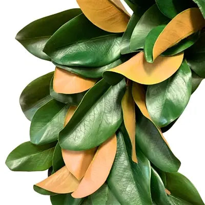 Magnolia Leaf Wreath 27" | XJ