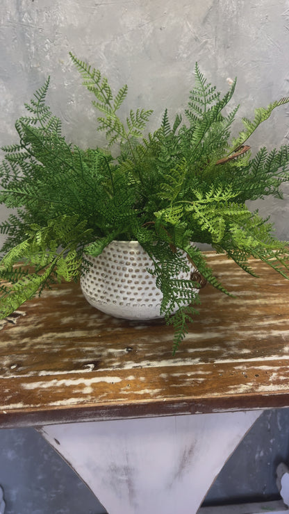 Fun with Ferns Embossed Dot Metal Planter DIY Small DIY KIT {Assembly Required}