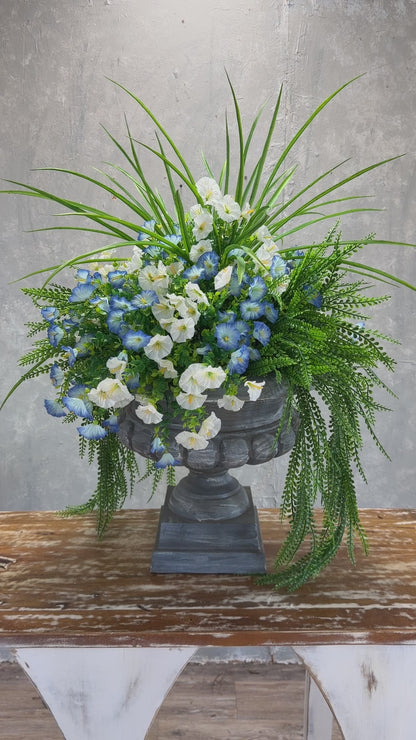 Mini Morning Glory Bunch 14" - Blue