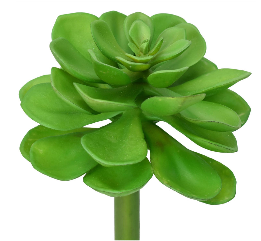 12” Grand Echeveria Faux Succulent Stem in Green | XJE