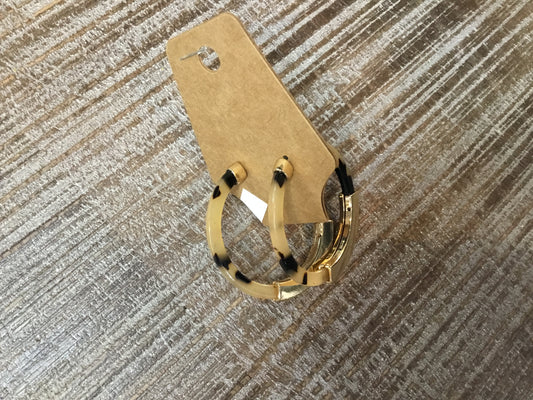 Kathryn Acrylic Acetate Earrings in Tortoise