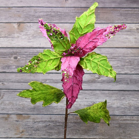 Green/Fuchsia Poinsettia