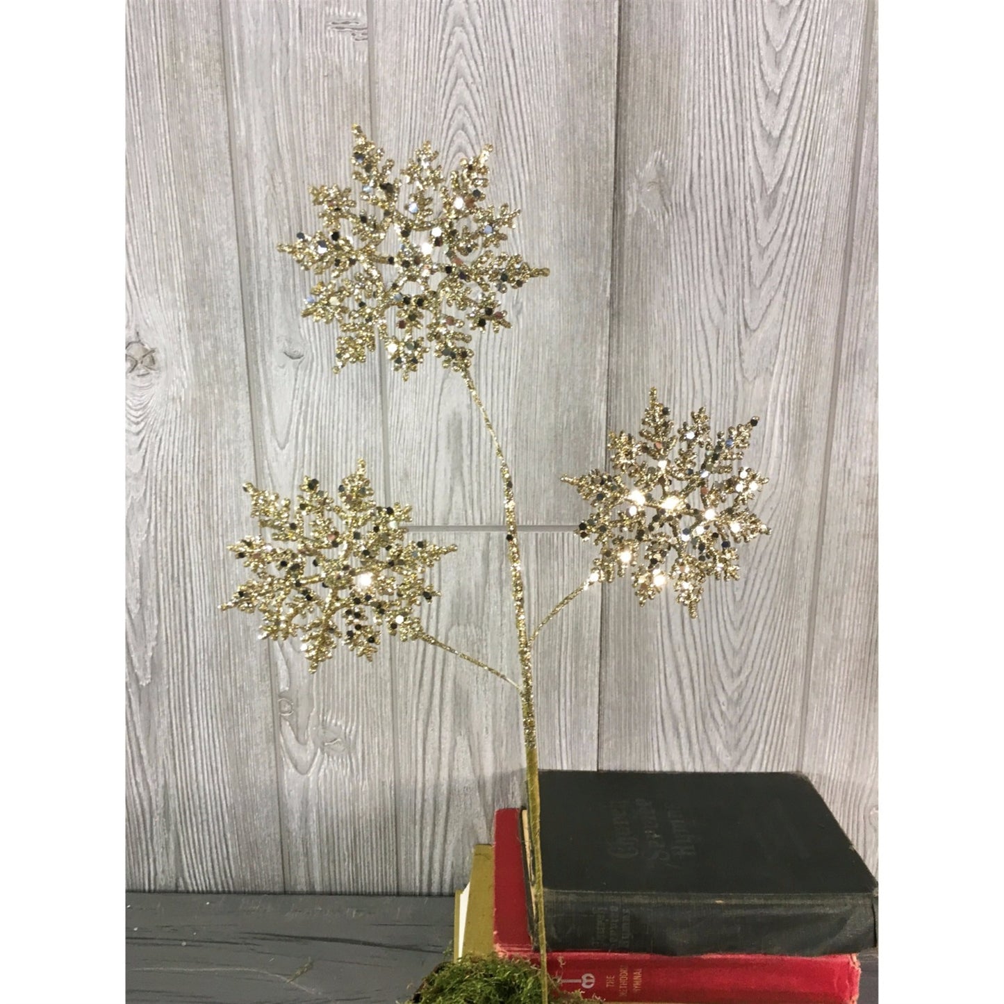 21" Snowflake Spray in Apple Green, Champagne, Red, Silver, or White | QS