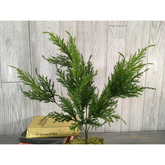 22" Cedar Pine Bush in Green