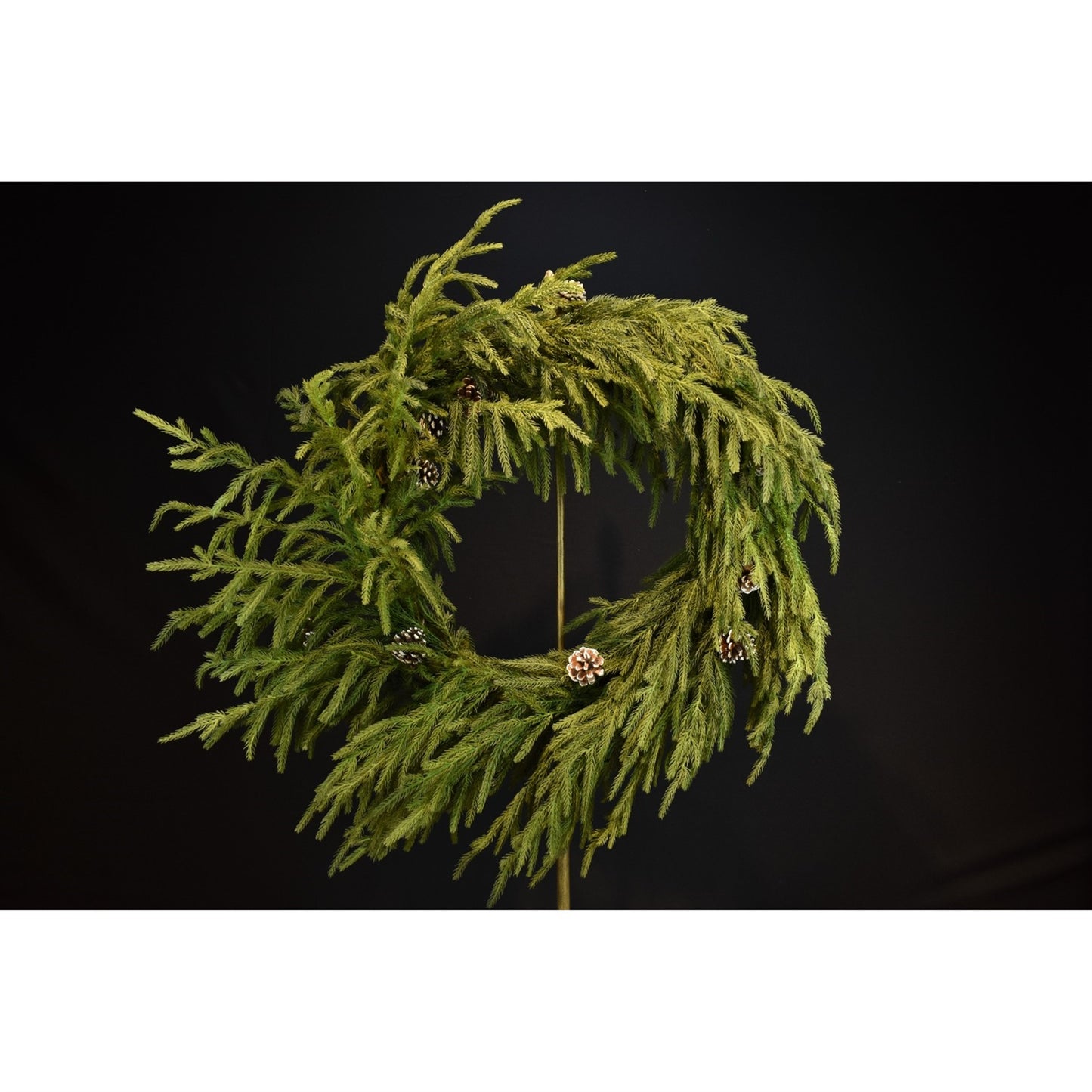 24" Natural Touch Norfolk Pine Wreath in Green | XJ