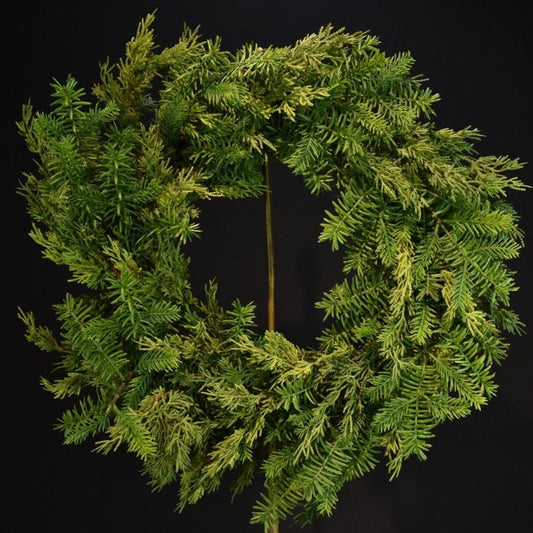 24" Mixed Cedar Wreath | XJ