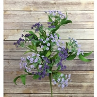 22" French Country Queen Ann's Lace Spray | QD