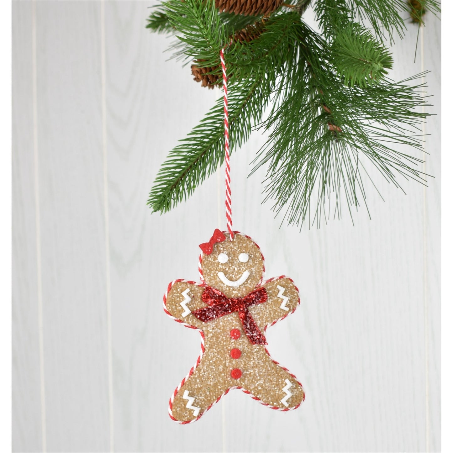 5" Frosted Felt Gingerbread Ornament Asst., Sold Separately | TA