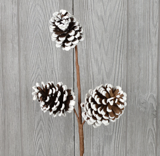 24" White Edge Pinecone Spray in Natural White | QD