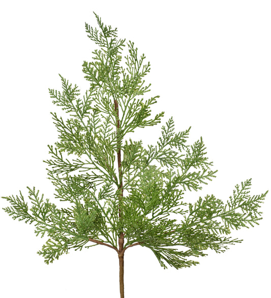 32" Cedar Spray in Green | QD
