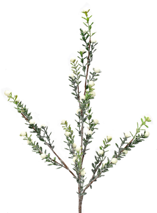 30" Snowed Boxwood Berry Spray in Cream | XJ