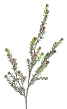 Load image into Gallery viewer, 30&quot; Snowed Boxwood Berry Spray in Red | XJ