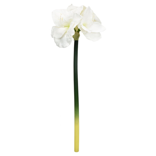 27.5" Amaryllis Spray in White | XJ