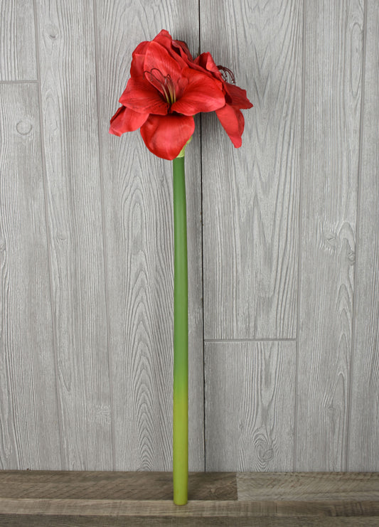 24" Amaryllis Spray | XJ