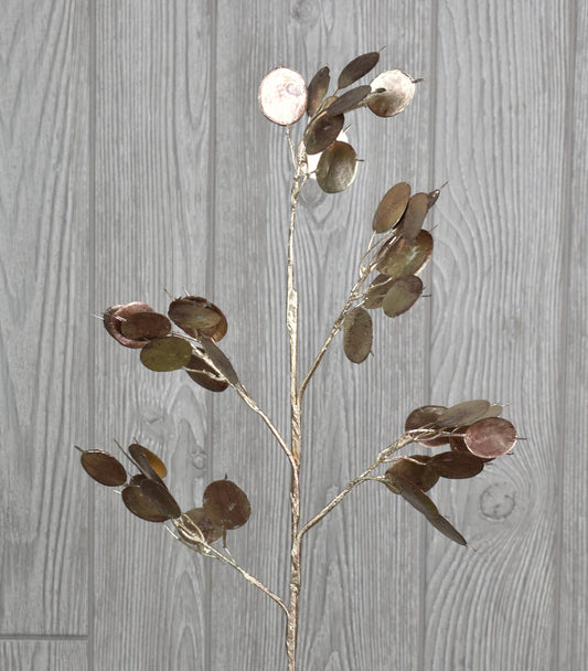 24" Metallic Dollar Eucalyptus Spray in Champagne | XJ