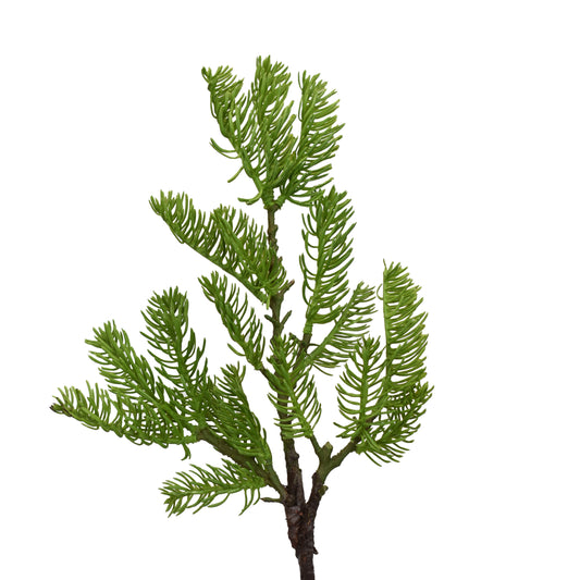 18" Freshcut Fir Pick | XJ