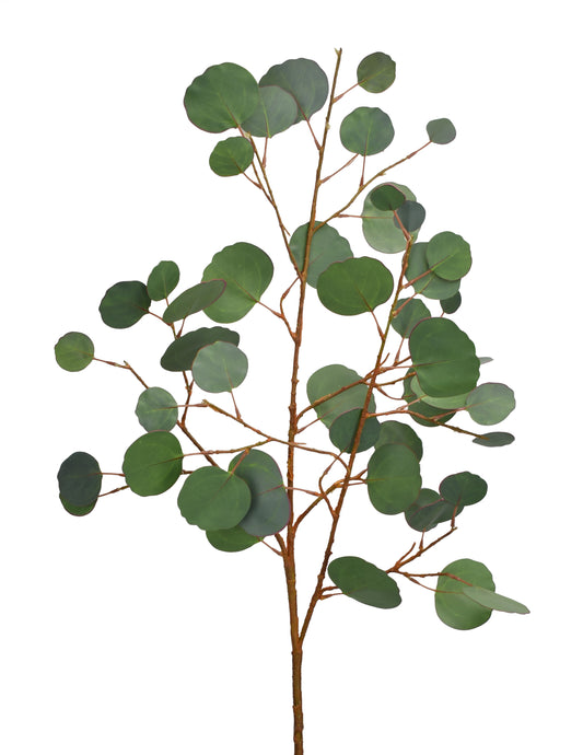 42" Fresh Touch Silver Dollar Eucalyptus Stem | XJ