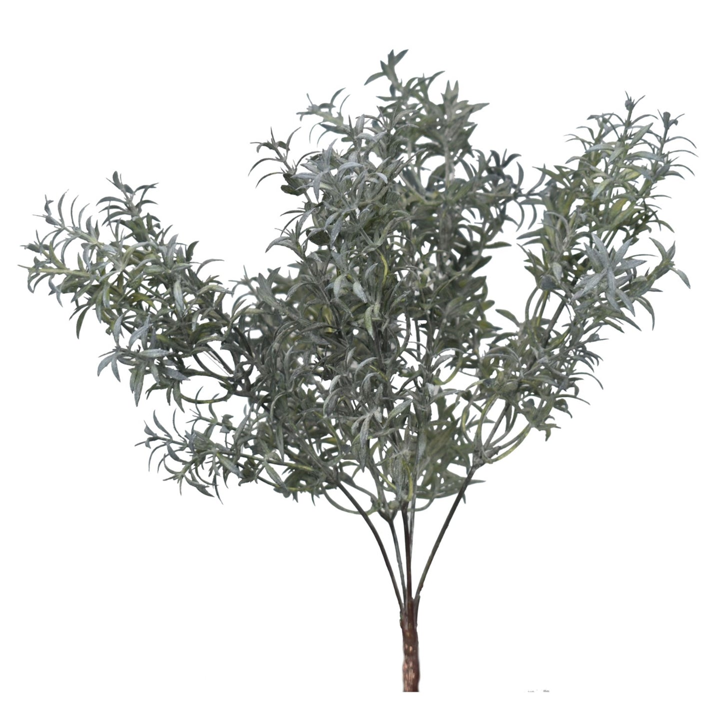 13" Rosemary Bush in Gray Green | XJE