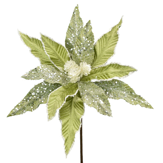 Glitter Velvet Poinsettia Stem in Sage/White