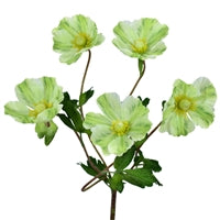 18" Wild Poppy Bush in Green | XJE