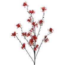 Load image into Gallery viewer, 39.5&quot; Witch Hazel Spray in Red | XJE