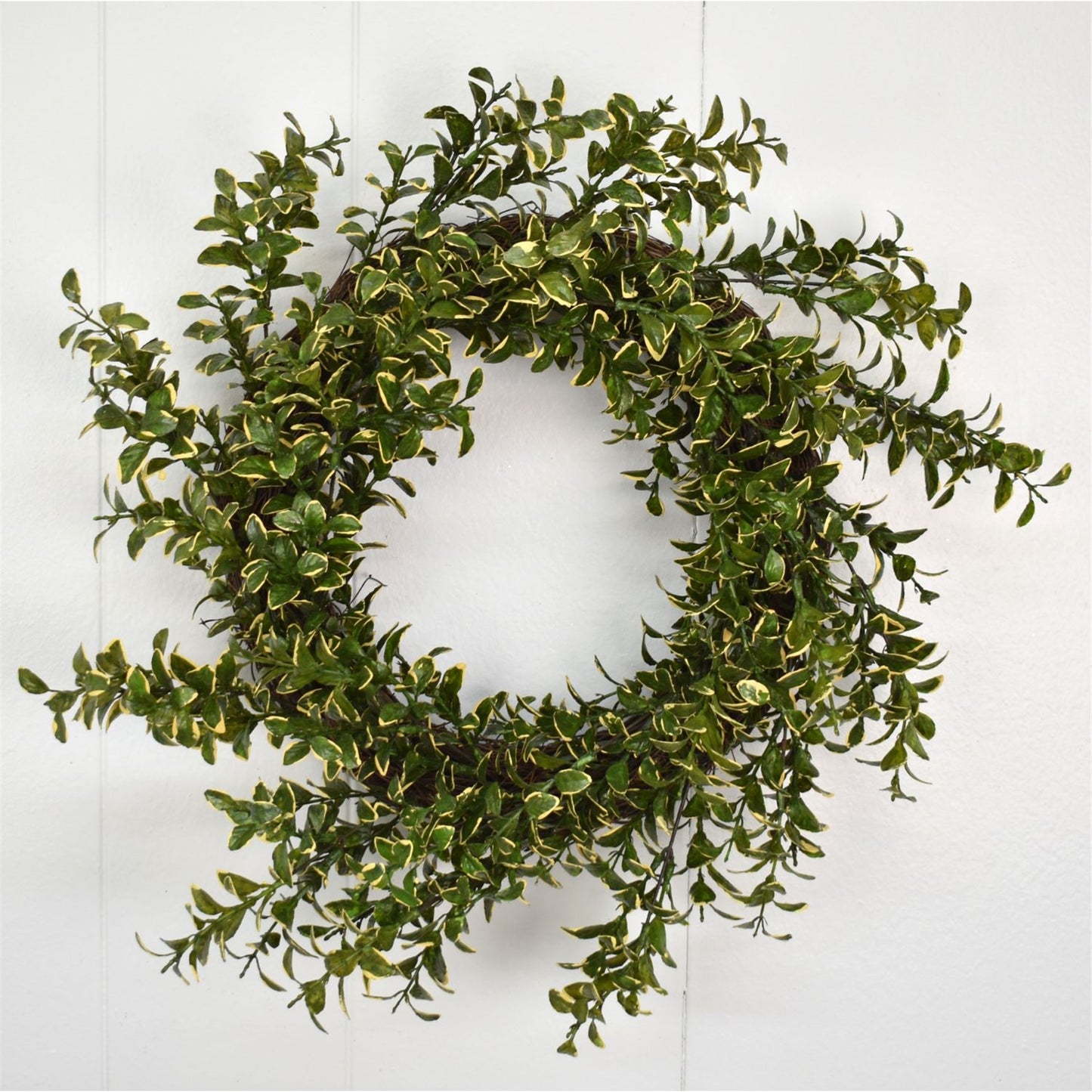 16" Variegated Boxwood Wreath | XJE