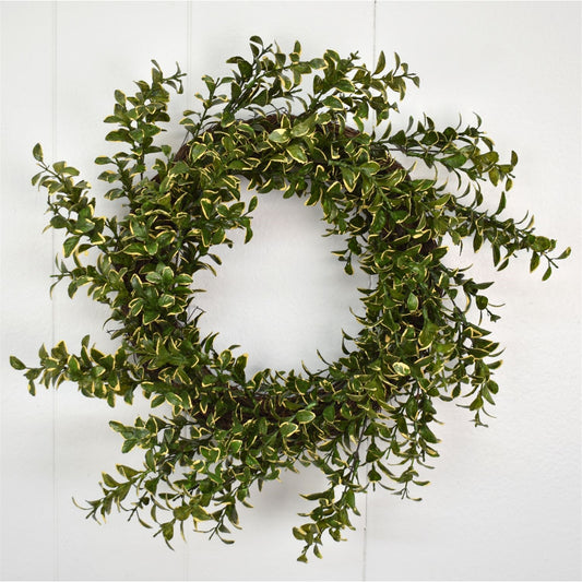 16" Variegated Boxwood Wreath | XJE