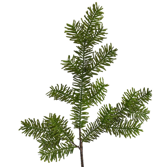 36" Spruce Pine Branch in Natural | XJ