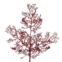 26" Mini Glitter Manzantia Branch in Deep Red | QG